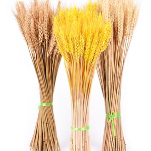 50 stks/partij Echte Tarwe Oor Bloem Natuurlijke Gedroogde Bloemen voor Bruiloft Decoratie DIY Craft Scrapbook Home Decor Tarwe Boeket