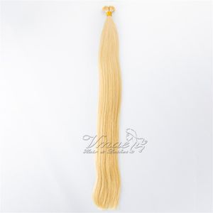 Европейский русский 1g Strand 100G Black Brown 613 Blond Straight Pre скрепленные кератина Стик Double Drawn I Совет Virgin человеческих волос