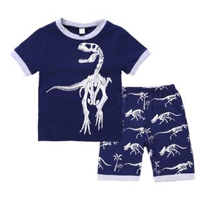 Kids Clothes Sets Boys Dinosaur Bule T Shirts Shorts 2PCS Set Short Sleeve Children Outfits Summer Kids Clothing DHW3333