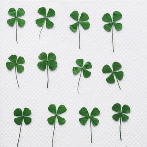 120pcs Pressed Dried Clover Leaf Dry Plants For Epoxy Resin Pendant Necklace Jewelry Making Craft DIY Accessories