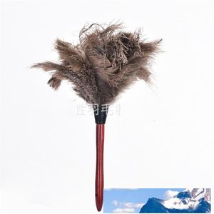 40 cm Ta bort dammfjäderdammare Hushållshuvud Östrich Hair Redwood Pole Dusters Creative Popular Hot Selling