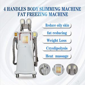 Spa Salon Body Cryotherapy Shaping Criolipolisis Machine Freeze Fat Slim Face Lift Machine