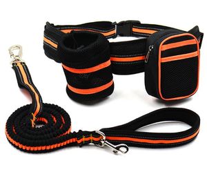 Hot Sale Pet Traction Set Reflective Elastic Traction Rope Dog Extension Rep Plus Snack Pack Orange Nylon Traction Set In Stock