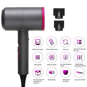 2000W Professional Salon Hair Dryer 2 in 1 Hot Air Brush Hair Dryers Negative Ionic Hair Blow Dryer Strong Wind Hot Dryer34533