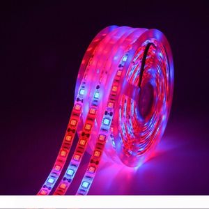 LED Grow light Full Spectrum waterproof 5M Strip 5050 Flower Phyto Growth lamps For Greenhouse Hydroponic Plant Growing