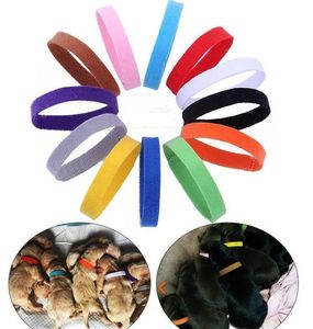 Puppy ID Collar Identification ID Collars Band for Whelp Puppy Kitten Dog Pet Cat Velvet Practical 12 Colors SN1588