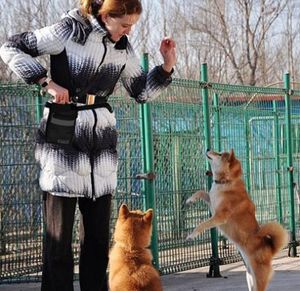 nuovo prodotto borsa per snack per cani gita per animali domestici in esecuzione multifunzionale di grande capacità bicolore marsupio per addestramento di animali domestici borse per cani da addestramento snack po