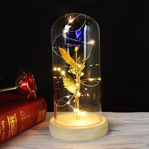 ارتفعت مع LED Light Rose in Glass Dome Beauty Forever Gold Plated Flowers for Valentine Gift