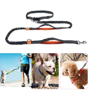 Refletir trel￩ias de cachorro leves correndo cinto de cintura multifunction Walk A Dog Treishes Collar Chain Pet Dog Supplies Harness Drop Ship