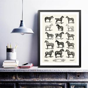 Horse Breeds Types Print Equestrian Horse Art Poster Farmhouse Wall Decor Horse Chart Vintage Wall Art Canvas Painting Picture