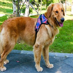 Bandeira de camuflagem colarinhos de cães ajustáveis ​​cães andando cães seguros acessórios para animais de estimação Willl e Sandy Drop Ship