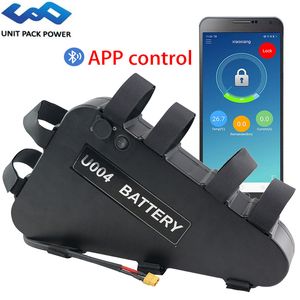 1800W 1500W 1000W 750W 500W Bafang TSDZ2 Motorlu Kitleri UPP Bluetooth Üçgen eBike Pil 52V 48V 20Ah ile APP Kontrolü