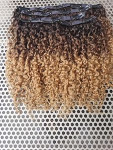 Grossist Brasilianska mänskliga hår Vrgin Remy Hair Extensions Clip i Kinky Curly Style Naturlig Svart / Brun / Blond OMBRE Färg
