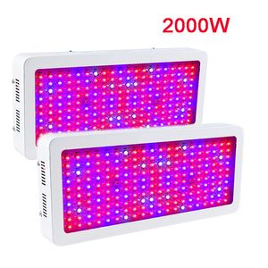 2000W Double Chip LED Grow Full Spectrum Lights Red Blue UV IR For Indoor Plant and Flower High Quality