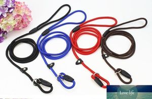 4 Color Nylon Rope Dog Whisperer Cesar Millan Style Slip Training Leash Lead and Collar Red Blue Black Coffee Colors