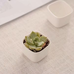 Weiße Glasierte Töpfe großhandel-Neue weiße minimalistisch kreative zakka Mini Keramik Sukkulenten Töpfe Desktop Bonsai Pflanzer Blumentöpfe Garden Supplies