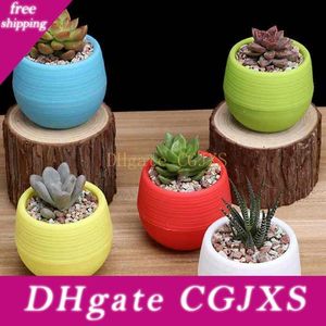 Grosshandel Mini Fleischigen Pflanzen Pp Harz Blumentopfe Bunte Kunststoff Topf Sukkulente Bed Kindergarten Rainbow Basins Moos Terrarium Dekoration Von Ivysunday 0 77 Auf De Dhgate Com Dhgate