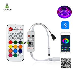 WS2811 LDP6803 SK6812 WS2812B IC Led Piksel Şerit ışık için Sihirli Ev Kontrolörü Akıllı Wifi Denetleyici iOS Android APP