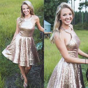 Sequins A-Line Homecoming Dresses Plus Size Cocktail Club Wear Plus Size Sleeveless Prom Dress Graduation Party Gowns