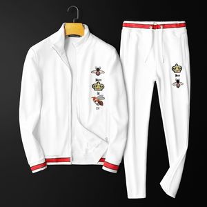 New 2020 autumn men's cardigan sports suit casual sweater suit Korean style slim fashion embroidery men's suit314c