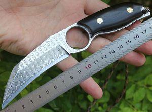 1Pcs Damascus Karambit Claw Knife VG10 Damascus Steel Blade Full Tang Ebony Handle Outdoor Tactical Knives With Leather Sheath