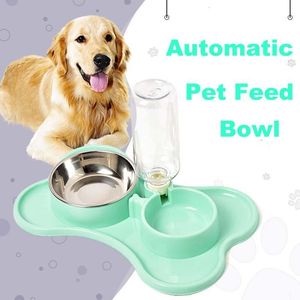 immovable dog bowl