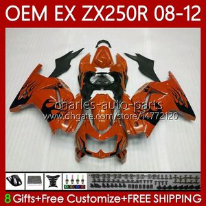 OEM-Einspritzung für KAWASAKI NINJA EX ZX 250R EX250 ZX250 R Verkleidung Orange Flames 2008–2012 81Nr