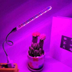 21 LED installatie Grow Light V USB Mini Bloem Groeiende Licht Bureau Rood Blauw DC V Binnen Fyto Lamp voor ingemaakte succulente aquarium W220312