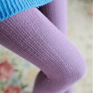 Socks & Hosiery Wholesale-Fashion Design Autumn Winter Knitted Stripe Stocks Pantyhose Elastic Striped Solid Color Women Girl Thigh High Soc