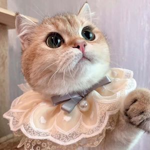 Cat Costumes Pet accessories saliva towel cat bib lace pearl pendant dog collar adjustable scarf