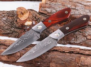 Special Offer 7.7 Inch Damascus Fixed Blade Hunting Knife VG10 Damascus Steel Blade Full Tang Rosewood Handle Straight Knives