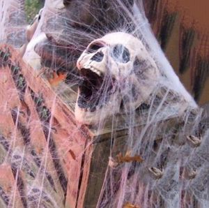 Halloween Spider Web Ragnatela elastica con ragno per Halloween Party KTV Bar Puntelli Bar Haunted House Decoration 20g Spedizione gratuita