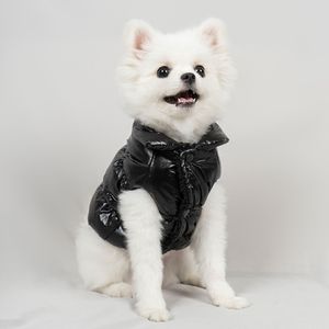 개 옷 애완 동물 반짝이 양고기 재킷 2 다리의 옷 프랑스 불독 Corgi 겨울 옷 따뜻한 패션 겨울 코트