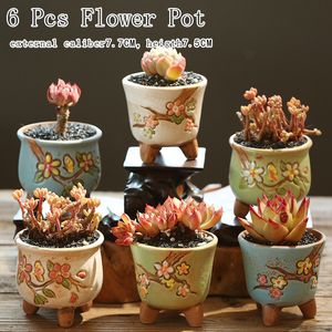 Ceramic Flower Pot Succulent Cactus Planter Garden S Outdoor Home Decoration Windowsill Y200723235t