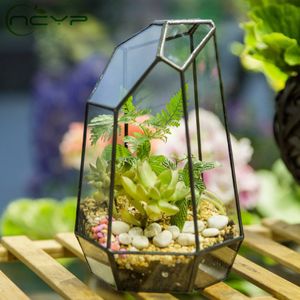 Ncyp modern oregelbunden glas blomkruk stor geometrisk terrarium fairy trädgård miniatyrer vintage glas viktoriansk blomkruka y200723
