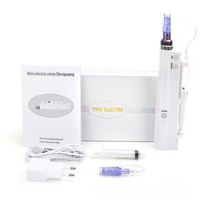 2 in 1 Hydra Injector Electric Microneedling Pen Nano Mesotherapy Microneedle Pen Portable Smart Injector Pen Skin Care