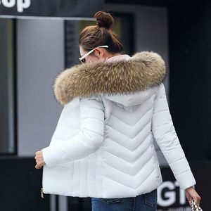 U-Shear 겨울 코트 여성 파카 후드 슬림 모피 칼라 코튼 패딩 자켓 코트 여성 따뜻한 짧은 파카 Outwear 201201