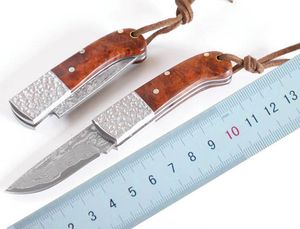 1Pcs Small Damascus Pocket Folding Knife VG10 Damascuss Steel Blade Red shadow wood Handle EDC Knives With Nylon Bag