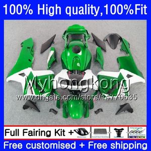 Einspritzung OEM für HONDA CBR 600RR 600F5 600CC CBR600 RR F5 03 04 49HM.32 CBR600RR 03 04 CBR600F5 Grün weiß CBR 600 RR 2003 2004 Verkleidungen