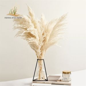 Pampas Grass Decor White Color Fluffy Natural Dried Flowers Bleached Bouquet Boho Vintage Style for Wedding Home Christmas 220311