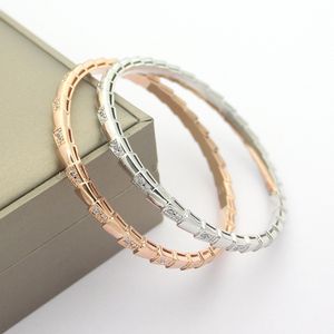 Europe America Fashion Style Lady Women Titanium steel Engraved B Letter Interval Diamond Snake Serpent Narrow Bangle Bracelet 2 Color