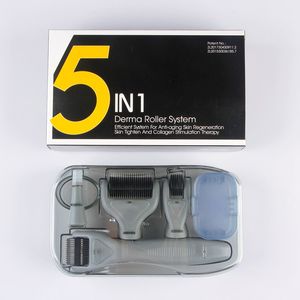 5 in 1 Dermaroller Microneedle Derma Roller Grey Handle Micro Needling Skin Roller per Facial Beauty Spa con spedizione veloce 7 giorni