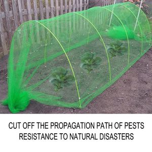 Free freight YEGBONG OEM ODM Pest Control Green insect net vegetable greenhouse thickened agricultural horticultural bird control