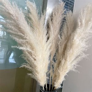 80CM Pampas Grass Large Super Fluffy Natural Dried Flowers Bouquet Decor Cream Color Wedding Decorations Christmas Gift 220311