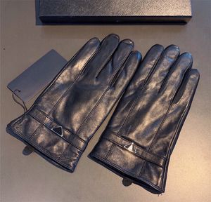 Premium Brand Designer Winter Leather Gloves Fleece Touch Screen Rex Sheep Sheepskin Cycling Cold-proof Thermal Sheepskin Sub Finger Gloves