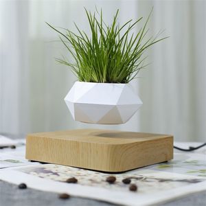 Flor de suspensão magnética Levitating Air Bonsai Pote Planta Suculenta Pátio Decoração Flor de Desktop / Verde C1111