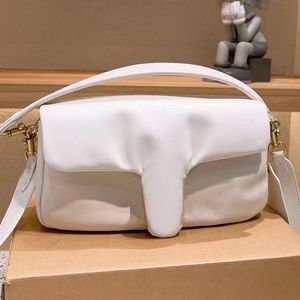 2021 Spring New Arrival Cloud Bag Borsa ascellare Classic Fashion Leather Handheld One Shoulder Messenger Pillow Bagg Borsa da donna firmata