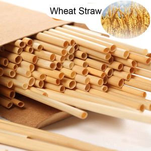 Wheat Straw Eco-friendly Natural Plant Health Low Carbon Life 20cm 22cm 25cm Long Straws For Drink Hot Selling