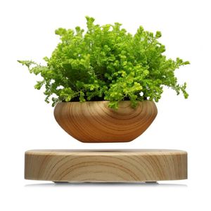 Levitazione magnetica Pianta in vaso Air Bonsai Pot Levitazione Piante Fioriera Vasi da fiori Pianta grassa per Home Office Decor Y200723