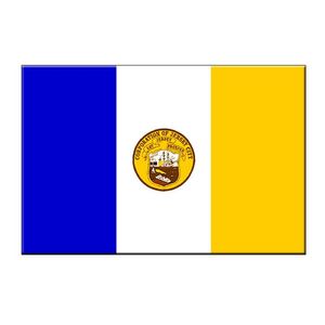 Bandeira de Jersey de Alta Qualidade 3x5 Ft Banner Cidade 90x150cm Festival Festival Presente 100D Poliéster Indoor Outdoor Flags e Banners